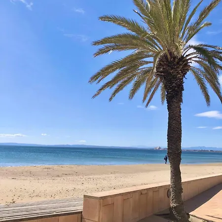 Estudios Stella Maris *